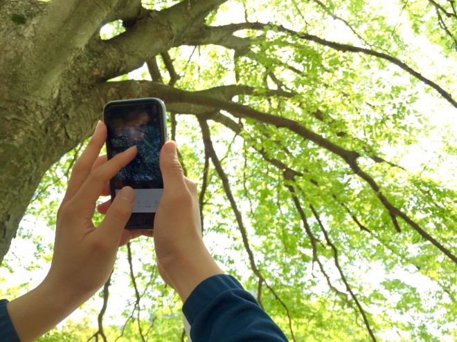 写真 スマホ撮影シーン