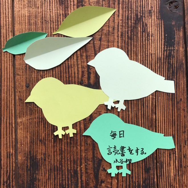 birds